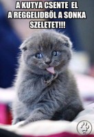 /album/minden-egyben-blog-/a1016791-745801098783933-491754076-n-jpg/